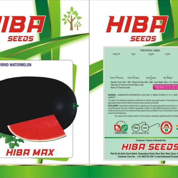 Premium Quality Watermelon Seeds – Natural & Nutritious