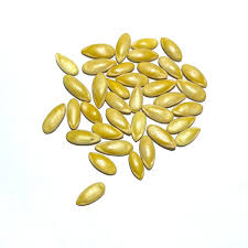 New Harvest Honeydew Melon Seeds – Fresh & Viable